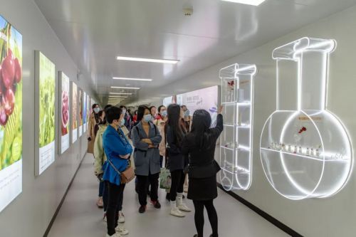 安琪紐特?cái)y手中國(guó)營(yíng)養(yǎng)學(xué)會(huì)，專業(yè)賦能藥品零售行業(yè)人才培養(yǎng)