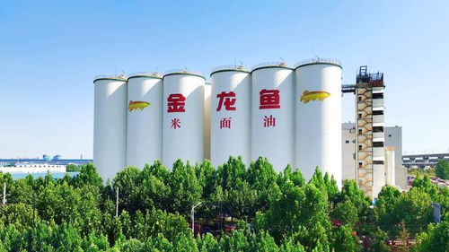 益海嘉里金龍魚八赴進(jìn)博之約 以科技健康雙輪驅(qū)動(dòng)，三季度業(yè)績(jī)穩(wěn)中有進(jìn)